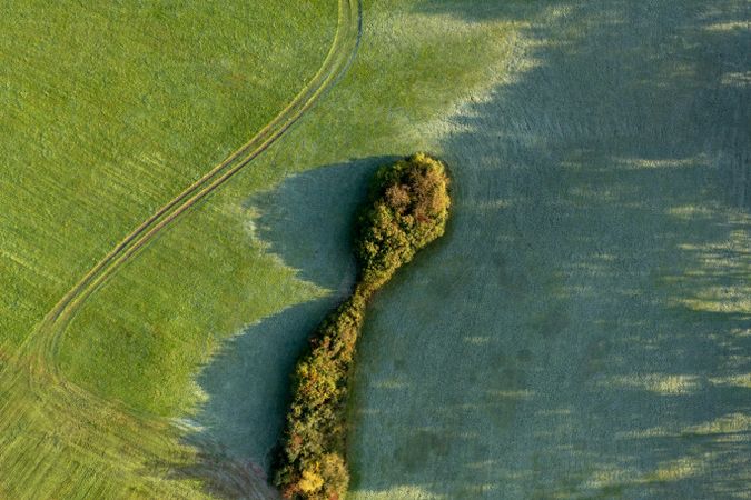 Aerial view with green meadow in the morning covered in frost