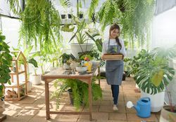 Young woman caring for trees in a greenhouse, planting trees, plant care equipment, planting greenhouses.
