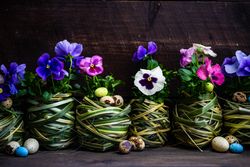 Easter holiday card concept with palms making pot for flowers and small eggs