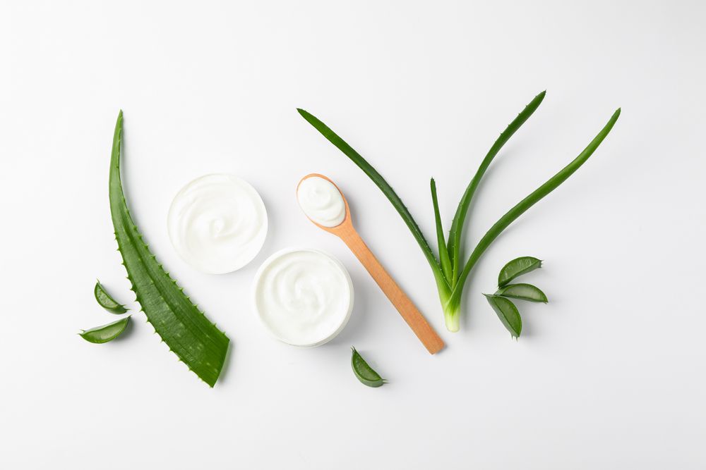Flat lay composition with natural treatment accessories on plain background, space for text. Aloe vera