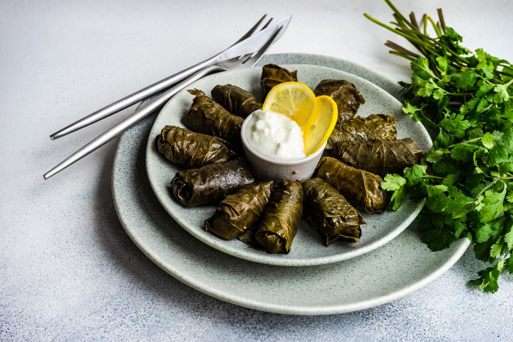 Plate of Georgian dolma dish