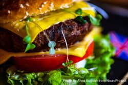 Cheeseburger with sprouts, tomatoes and lettuce 4jVREz