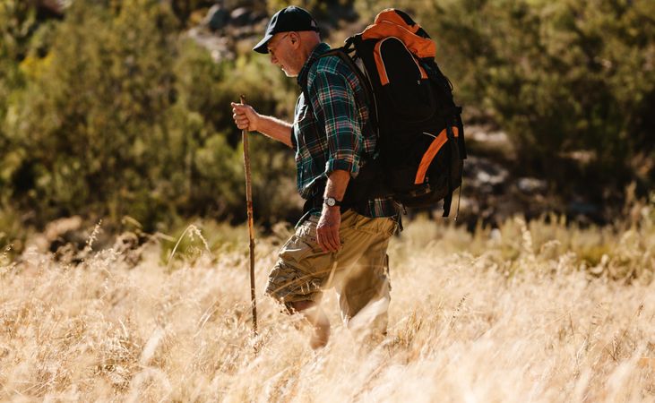 Man walking over grassy mountain trail holding a stick