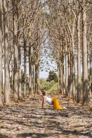 Adult expectant mother practicing yoga in park during sunny day