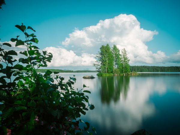 Summer landscape with river and forest