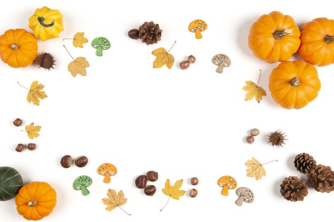 Flatlay with autumn decoration on a studio background  as a concept for halloween or thanksgiving with space for copy