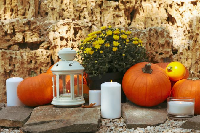 Cozy autumn concept with pumpkins outdoor in the park
