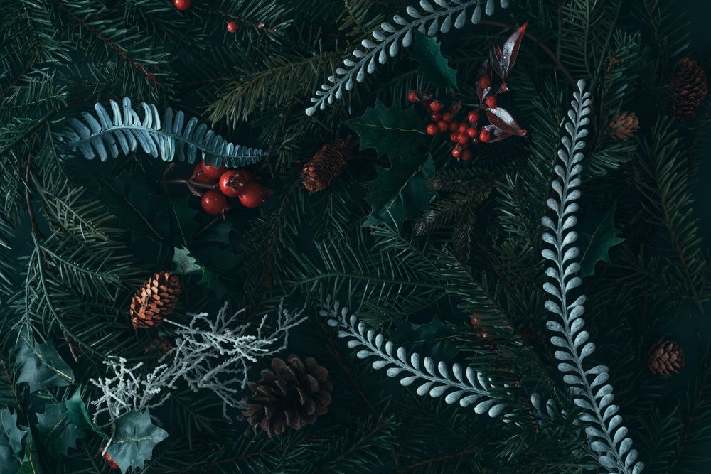Holiday pine trees with mistletoe and pine cones