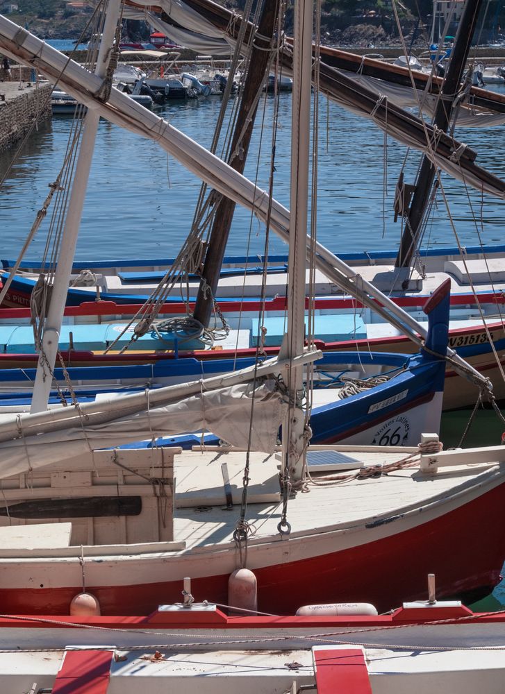 Boats in a row along a dock, vertical