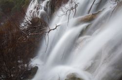 Wonderful waterfall near tree