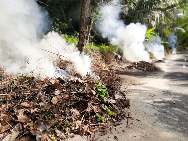 Smoke from Burning Dry Leaves and Grass by the Roadside in Tropical Area