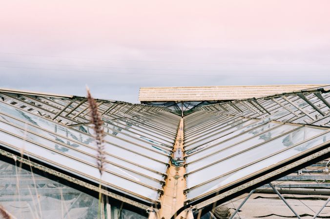 Glass greenhouse roofs in overcast weather