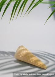 Ice cream cone with palm tree and shadow 47KEA4