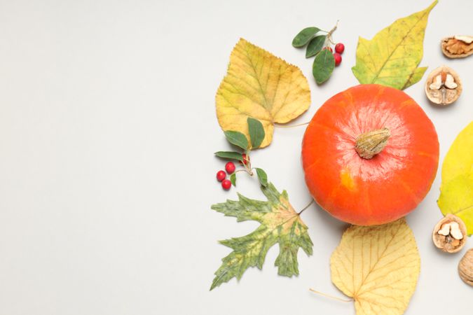 Concept of Autumn vibe food, Pumpkin, Pumpkin seeds, space for text