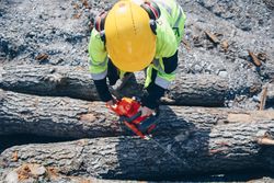Woman with yellow bump cap cutting tree log with an electric saw