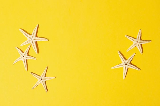 Starfishes on yellow background, space for text