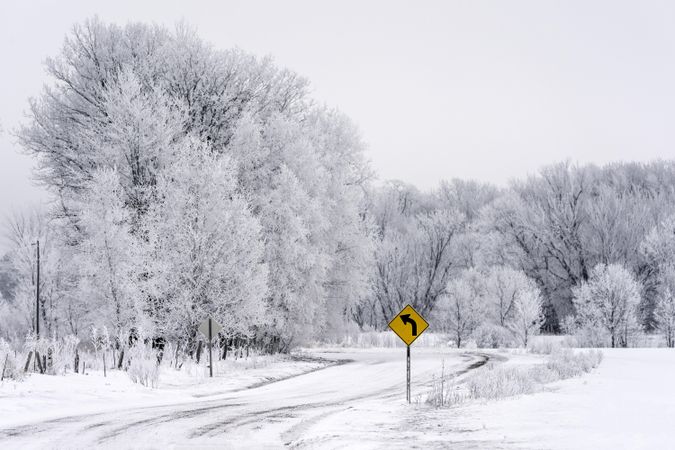 Rural road with fresh snow