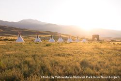Yellowstone Revealed: North Entrance teepees at sunset 5zgeg4