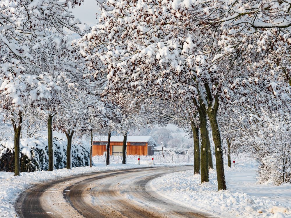 Winter's Tale. Snow-covered clean light landscape of Alsace.