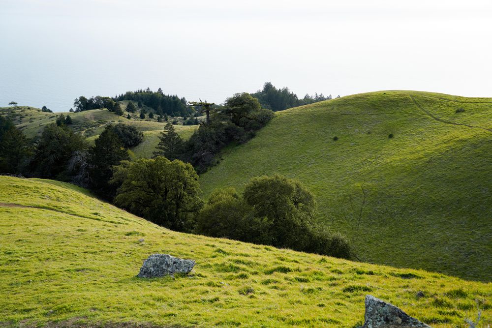 spring hills