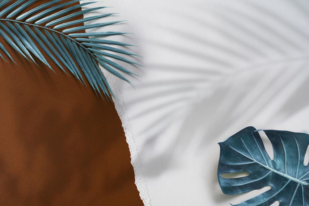 Tropical palm leaves and shadow on brown and light torn paper background