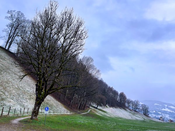 Overcast hill hike to the Château de Gruyères, FR