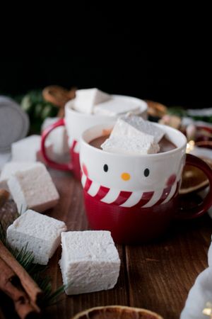 Spices and decorations near hot chocolate with marshmallows