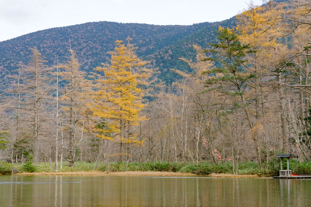 Myojin Pond with Hotaka Shrine in Kamikochi in Autumn, Japanese Alps, Chubu Sangaku National Park