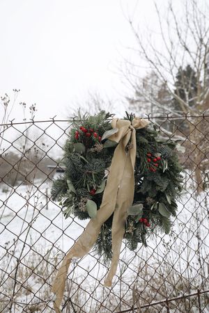 Christmas advent wreath, garland of fir, pine tree branches and red berries hung on fence outside