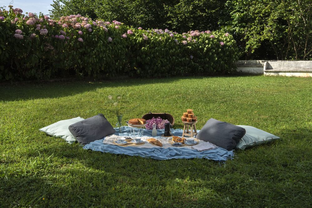 Picnic with tasty sweets and beverages for breakfast at summer garden