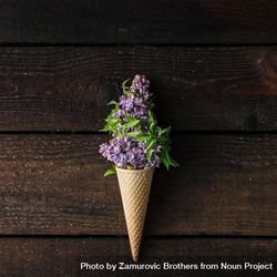 Ice cream cone with purple lilac on wooden background 43aqr0
