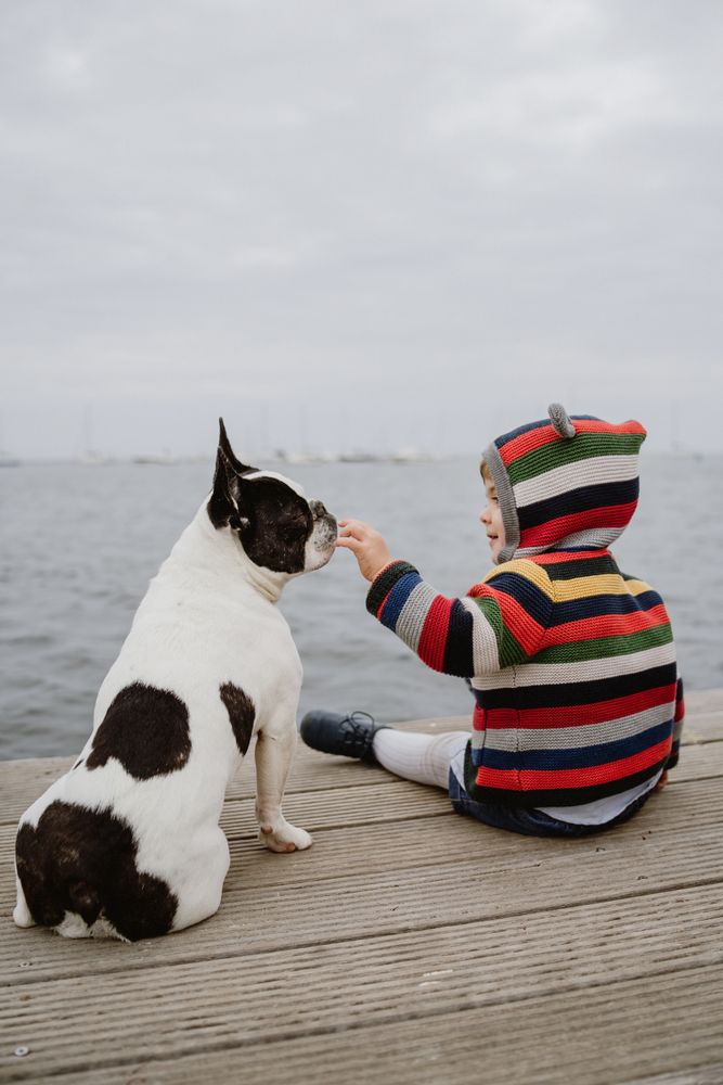 kid petting dog on pier