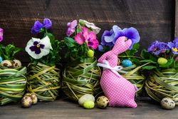 Easter holiday card with pots of pink &  purple flowers and decorative eggs and pink rabbit
