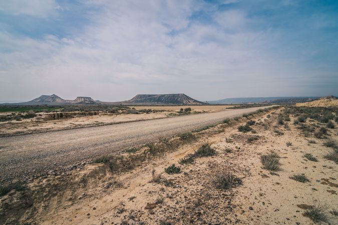 Empty road in desert with dry vegetation