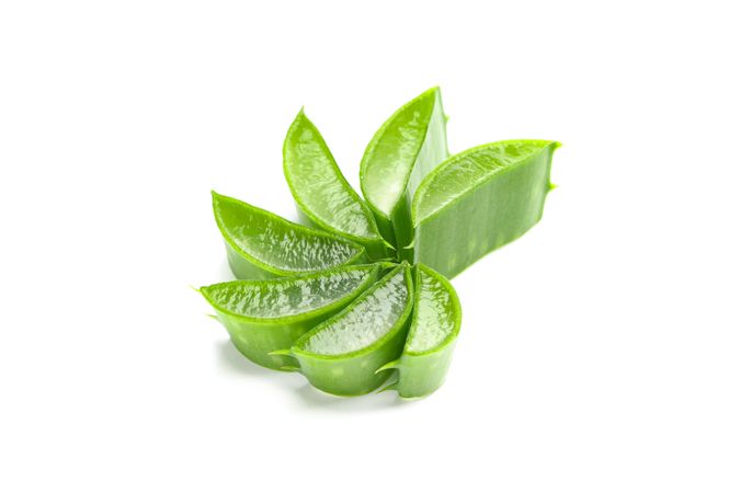 Aloe vera slices isolated on blank background. Herbal medicine