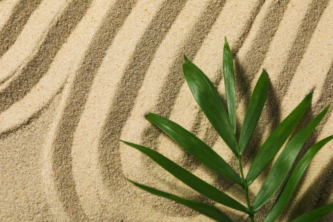 Composition for Zen, Relaxation, Harmony and Balance concept