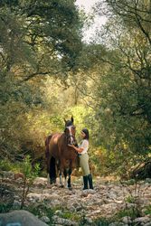 Horsewoman feeding obedient horse in forest