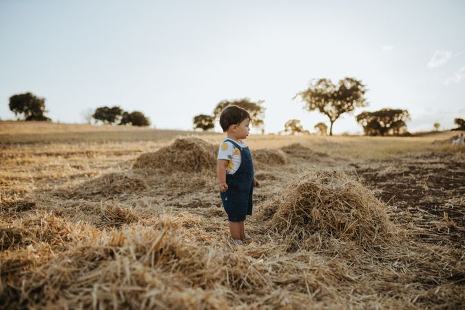 Little boy in coveralls and bright t-shirt in a field
