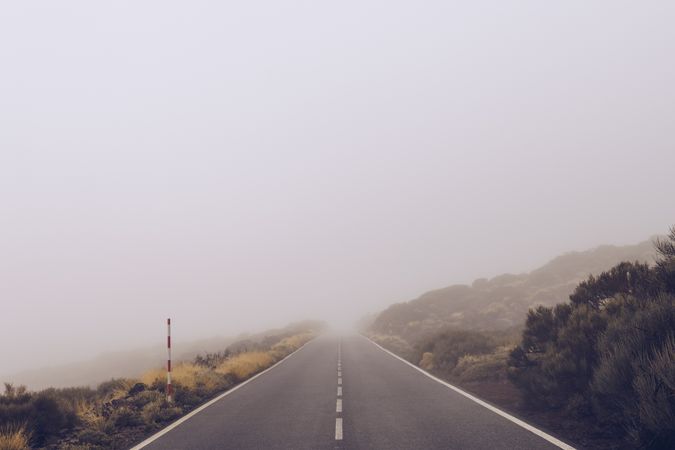 Empty road through woodland in overcast day