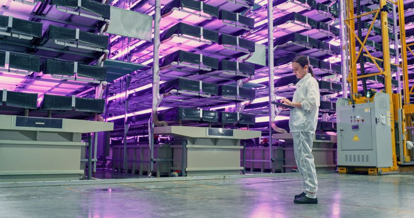 Young Female Farmer Standing in a Vertical Farm Facility with LED Lights. Hydroponics Technician Using a Tablet Computer, Studying and Cultivating Plants, Planning Delivery of Greens To Supermarkets.