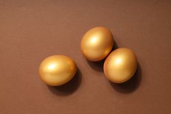 Golden eggs, pension savings, investments and retirement