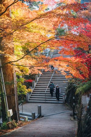 People walking on gray concrete stairs in Tokyo, Japan