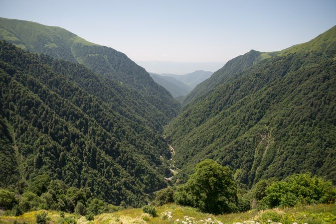 Wonderful view of foggy valley with lush greenery