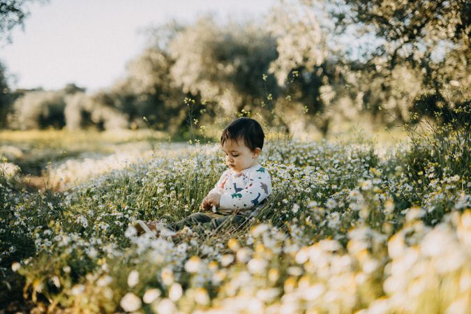 A toddler sitting in a field of flowers