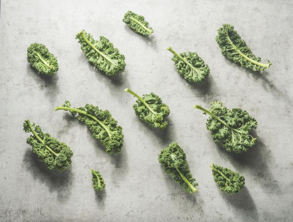 Kale pattern with raw green leaves at grey concrete kitchen table with sunlight