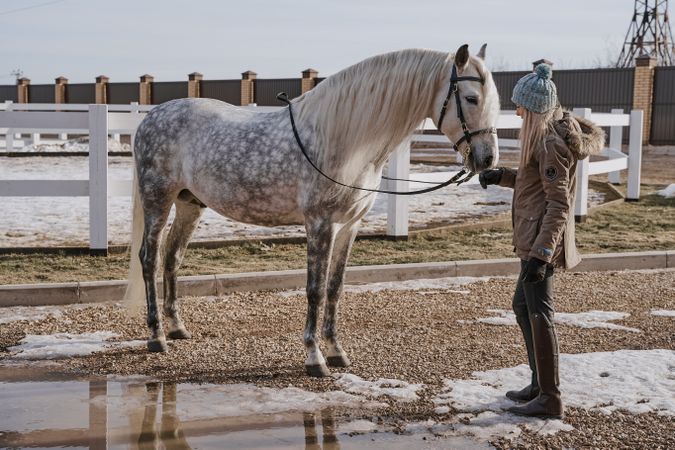 Warm dressed woman with gray horse outside