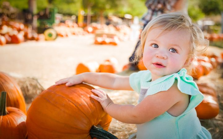 Cute Baby Girl Having Fun at the Pumpkin Patch on a Sunny Fall Day.