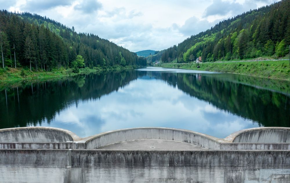 Accumulation Lake in the Forest, Germany