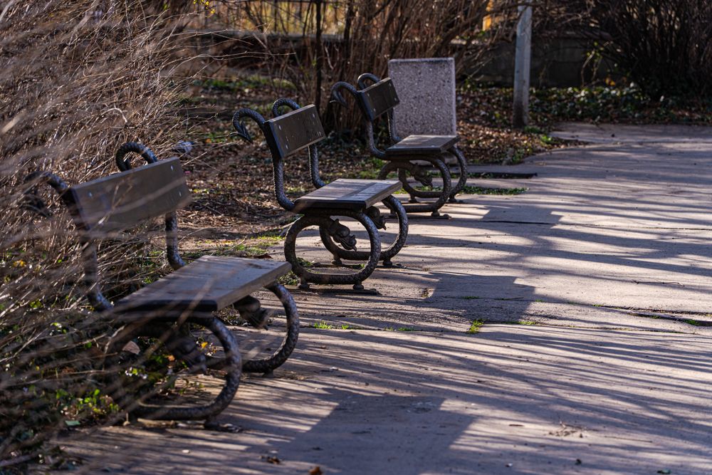 Park benches in the park in Prague city