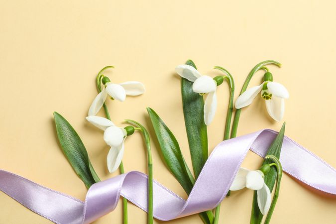 Beautiful spring snowdrop flowers on color background, space for text